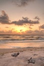 Golden sunset over hatchling turtles Caretta caretta