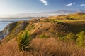 Golden sunset over Kaikoura Peninsula Walkway, New Zealand Royalty Free Stock Photo