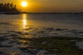 Golden sunset over the ocean coast at low tide Royalty Free Stock Photo