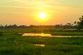 A Golden Sunset over the Okavango Delta in Botswana.