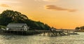 Golden sunset over the resort houses in the pier surrounded by green trees at Arcadia park, Portland