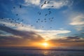 Golden sunset over the sea with beautiful cloudy sky on background and silhouette of fluing birds. Amazing tranquil scene in soft Royalty Free Stock Photo