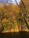 Golden Sunset Over Steep Riverbank and Shaded Vilnia River in Vilnius' Bernardine Garden