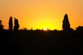 Golden sunset over tuscan fields Royalty Free Stock Photo