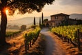 Golden Sunset Over Tuscan Vineyard with Rustic Farmhouse, Rolling Hills, and Picnicking Couple. Generative Ai Royalty Free Stock Photo