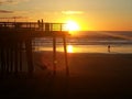 Golden Sunset people in silhouette at Pismo Beach Royalty Free Stock Photo