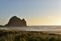 Sunset At Piha Beach In New Zealand 