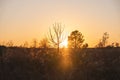 Golden Sunset In The Rural Country Side