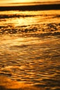 Golden sunset on the sea Royalty Free Stock Photo