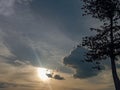 Golden Sunset Sky with Dramatic Clouds and Tree Silhouett Royalty Free Stock Photo