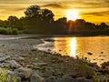 Golden Sunset sky over the sand beach with sun reflections on the river Rhein with plants and bridge Royalty Free Stock Photo