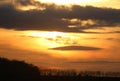 Golden sunset sky with silhouettes trees