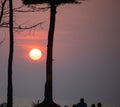 Golden sunset with tree silhoutte in GOA Royalty Free Stock Photo