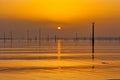 Golden sunset in Vilagarcia de Arousa Royalty Free Stock Photo