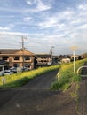 A row of beautiful rapeseed flowers are blooming on the side road next to the beautiful houses