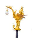 The golden swan lamp