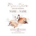 Golden swans wedding invitation template