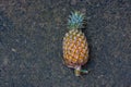 a sweet pineapple from Thailand Royalty Free Stock Photo