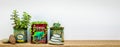 Golden syrup and tea tins used for succulent plants on shelf Royalty Free Stock Photo