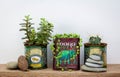 golden syrup and tea tins used for succulent plants on shelf, repurpose and upcycle to reduce waste Royalty Free Stock Photo