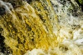 Golden tannins in a closeup of a waterfall in Connecticut