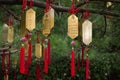 Golden Taoist prayer charms hanging from a tree