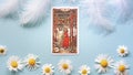Golden tarot cards on the Blue background with Daisy flowers, four of wands