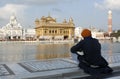 A Sikh at the Golden Temple in Amristar, Punjab, India Royalty Free Stock Photo