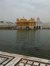 The golden temple in amrtsar in India