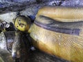 The golden temple of Dambulla is world heritage site and has a total of a total of 153 Buddha statues, three statues of Sri Lankan Royalty Free Stock Photo