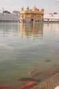 Golden temple by day with fish in the holy water