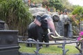 Dambulla Sri Lanka: 03/16/2019: The Golden Temple temple and museum garden with resin figure of an elephant. World heritage site