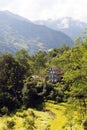 Terraces of rice or paddy fields in Nepal Himalayas Royalty Free Stock Photo