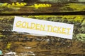Golden ticket coupon luxury festival event vip royal admission Royalty Free Stock Photo