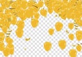 Golden Tiny Confetti and gold balloons confetti party background, concept design. Celebration Vector illustration Royalty Free Stock Photo