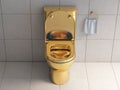 Golden toilet bowl in wc