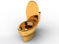 Golden toilet bowl #4