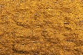 Golden-toned dried seaweed algae. Sushi nori sheet texture. Golden background Royalty Free Stock Photo