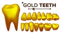 Golden Tooth Vector. Metal Gold Human Teeth. Isolated Illustration