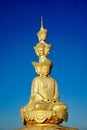 Golden Top's Ten-Fang Puxian Bodhisattvas
