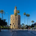 The golden tower in the Centre of Seville alongside the river. The golden tower as it was named, is a popular spot to start a walk