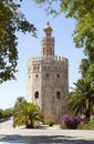 The Golden Tower and some trees