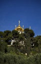 Church of Maria Magdalene Among Trees