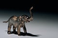 Golden toy elephant with blood on tusks on grey background Royalty Free Stock Photo