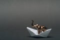 Golden toy elephant in paper boat on grey background Royalty Free Stock Photo