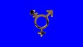 Golden Transgender Symbol on a Blue Screen Background