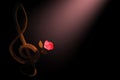 Golden treble clef and rose Royalty Free Stock Photo