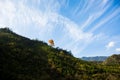 A golden tree on the hill,