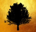 Tree with leaves silhouette isolated on shiny golden background.Creative abstract.