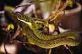 Golden tree snake Royalty Free Stock Photo